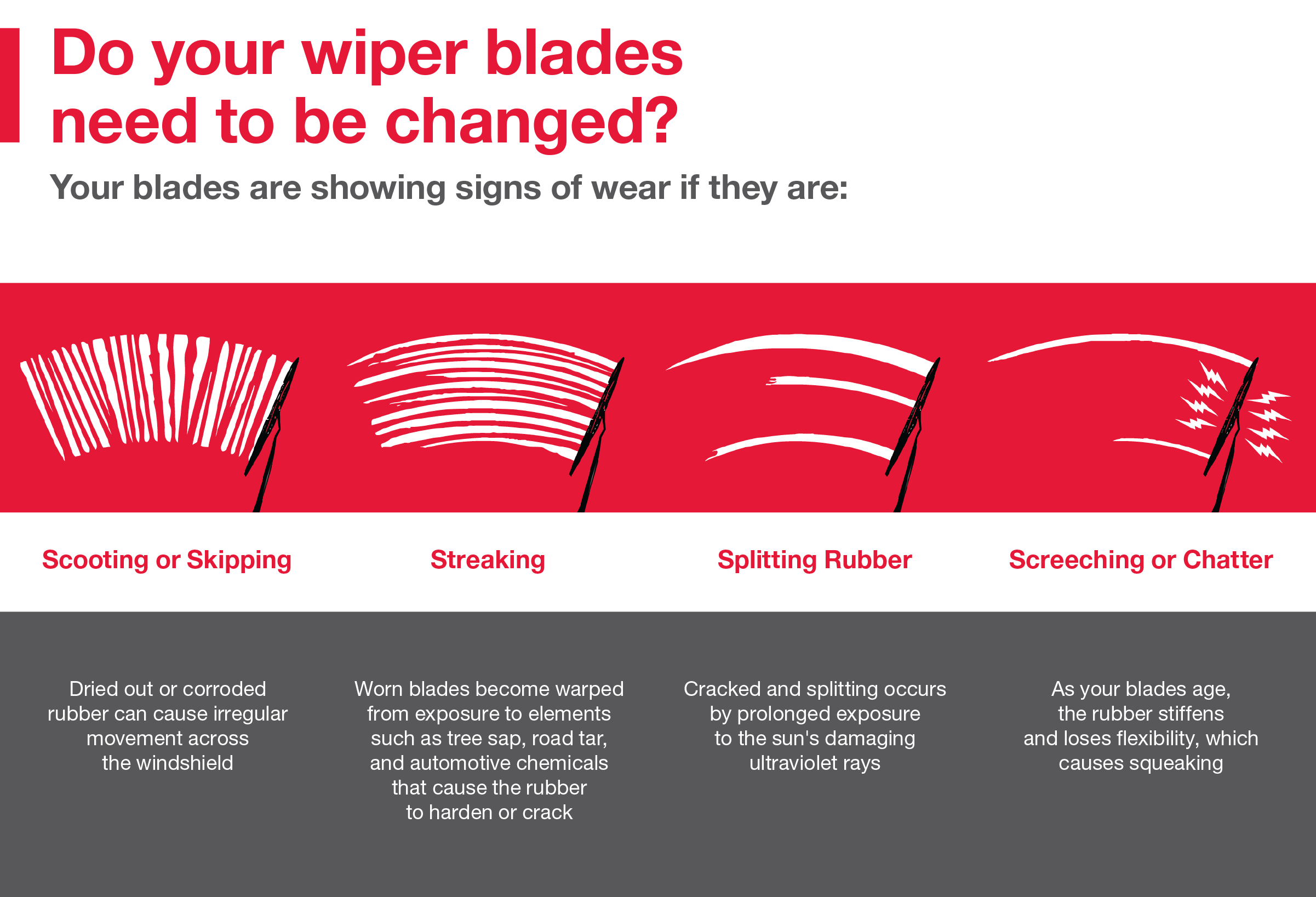 Do your wiper blades need to be changed | Earnhardt Toyota in Mesa AZ