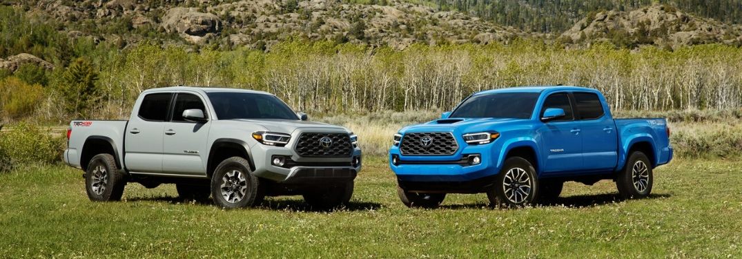 Gray and Blue 2020 Toyota Tacoma Models in a Grass Field