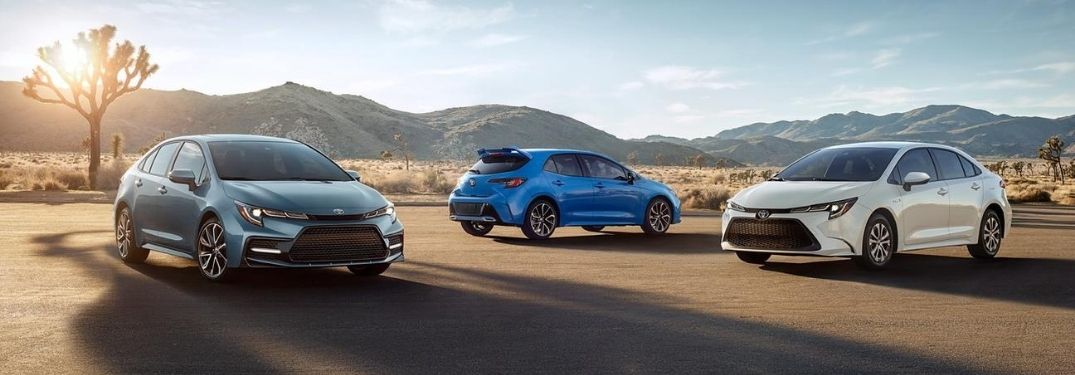 Gray, Blue and White Toyota Corolla Sedan and Hatchback Models in the Desert