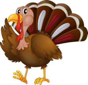 Cartoon Turkey on a White Background