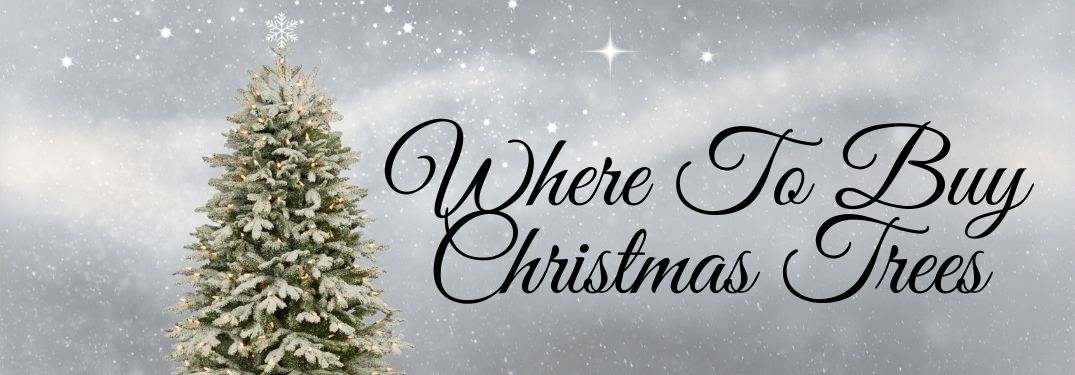 Christmas Tree on Gray Winter Background with Black Where To Buy Christmas Trees Text