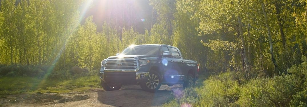 Blue 2021 Toyota Tundra on a Forest Trail