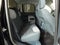 2025 Ford Maverick XLT AWD *1-OWNER*