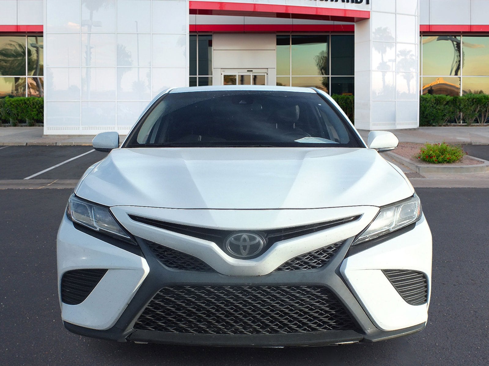 2019 Toyota Camry SE *RELIABLE DAILY DRIVER!*