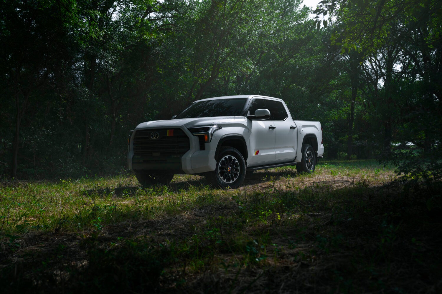 A white American made Toyota Tundra in Phoenix is parked facing the viewer to the left in a clearing in a dark forest.